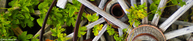 Kalispell Web Design: Wagon Wheel