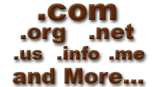Domain Registrar
