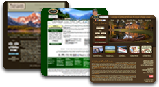 Real Estate Websites with IDX